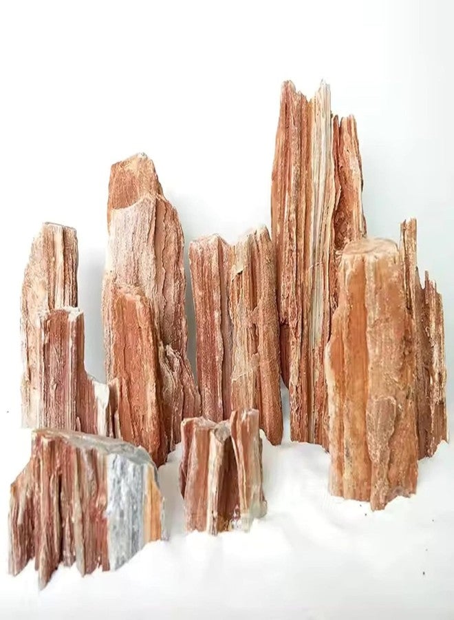 RUKDA Redwood Petrified Stone for Aquarium & Garden Decor - Aquascaping Rocks for Fish Tanks, Terrariums, Landscaping & Water Features - Unique Miniature Rock Formation Look (Redwood Rock, 1 Kg) - Image 1